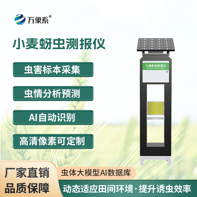 小麥蚜蟲測報儀，保障小麥健康成長的利器之一